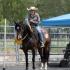 Volunteer Ranch Horse Associationâ€™s Labor Day â€œBeat the Heat!â€ Show